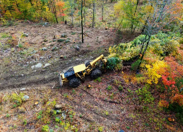 A. Jordan Land Clearing, LLC. work photo