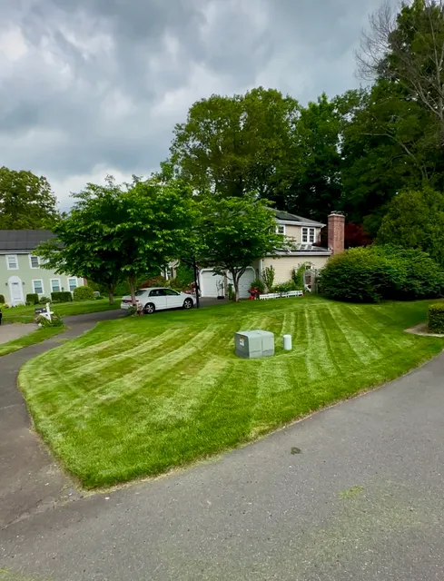 Undercut Tree & Landscape Services llc work photo