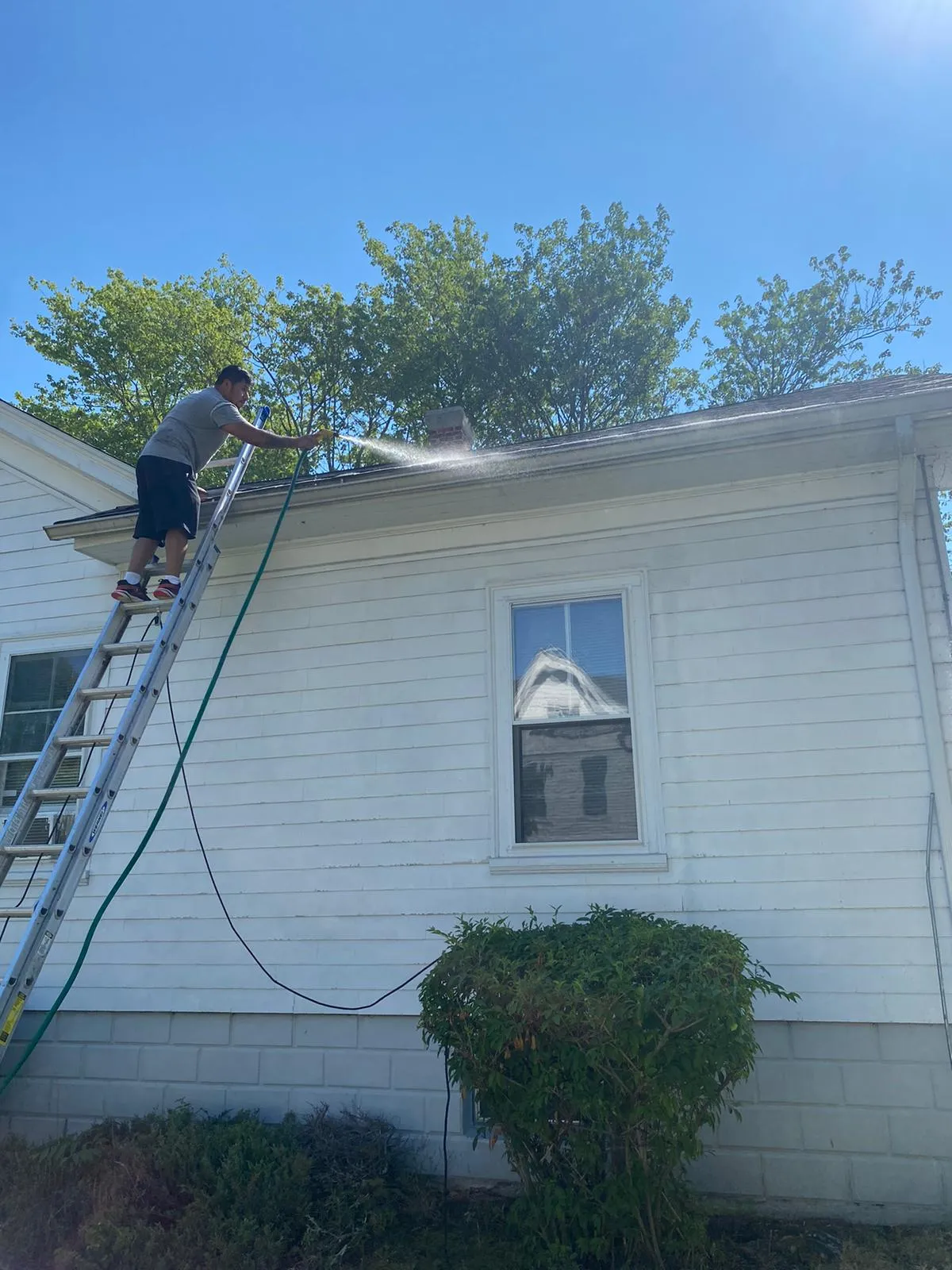 Miches Services LLC
