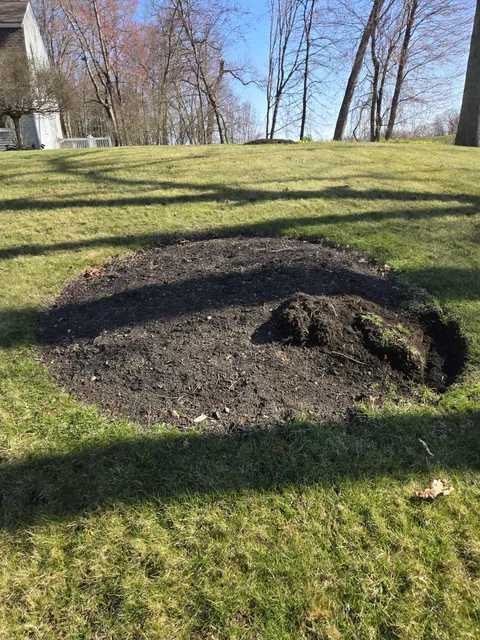 work photo from chicoslandscapinginc.com