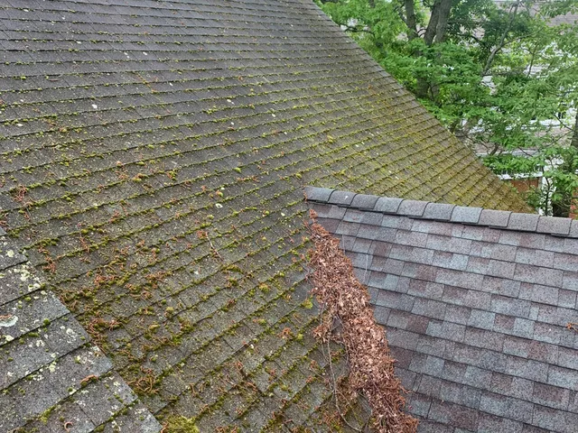 roof before cleaning