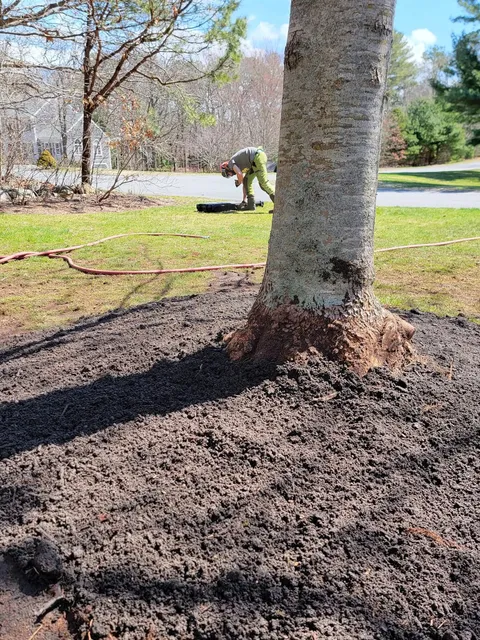 Person working in a mulch-covered yard near a tree on a sunny day