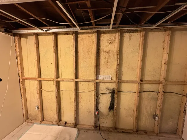 Basement wall opened to the studs in preparation for insulation and new drywall