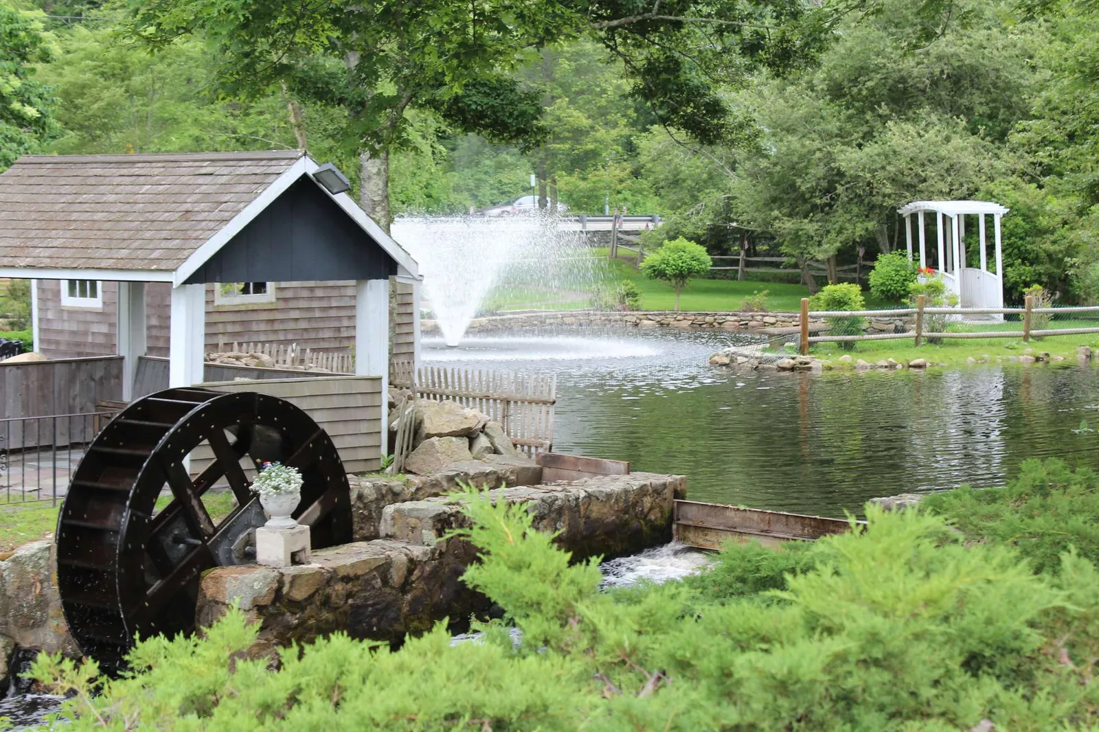 Beautiful organic lawn and landscaping at a South Shore home