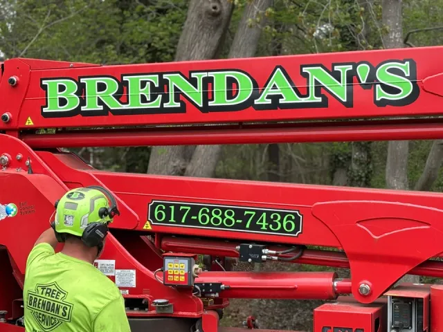 work photo from brendanslandscape.com