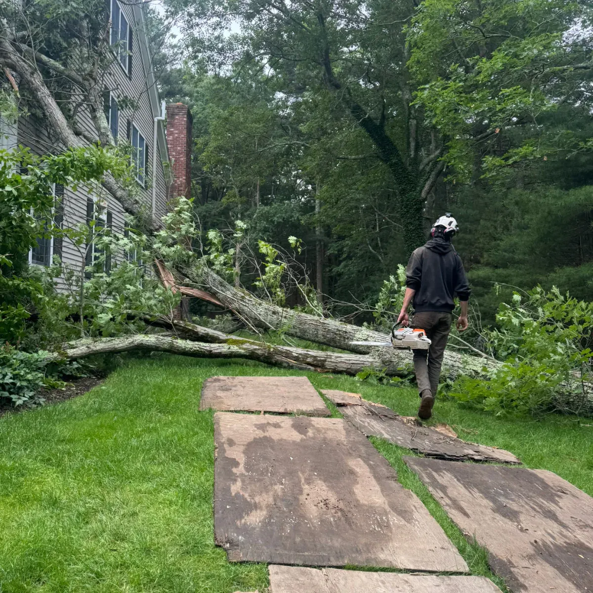 work photo from dovercountrytrees.com