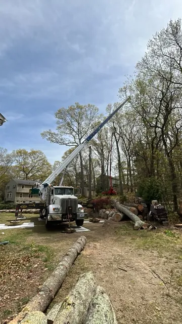 work photo from allscapestreeri.com