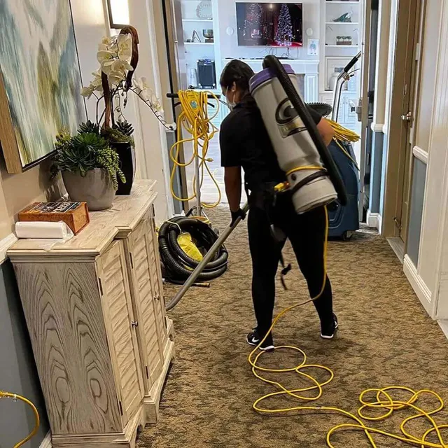 Sparkle Spree Interior Cleaning work photo