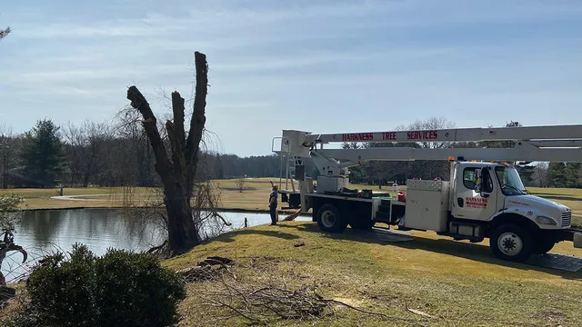Harkness Tree Services, LLC work photo