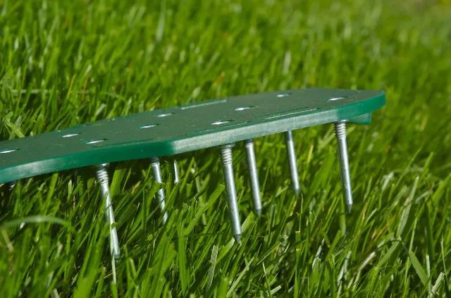 lawn aeration and seeding