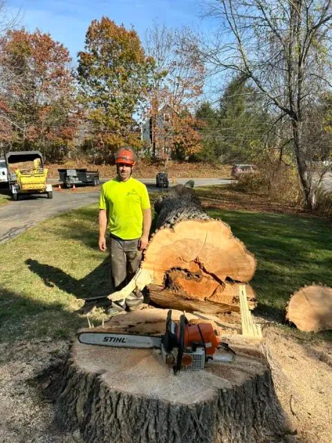 work photo from soultreecare.com