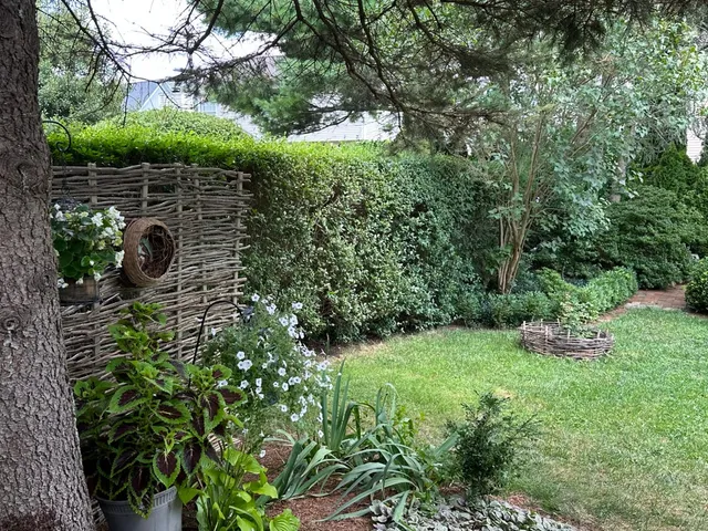 Woven fence with lush hedgerow