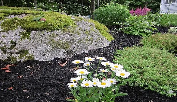 work photo from cuttingedge-landscapes.com