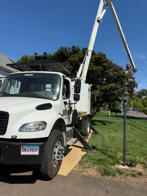 White utility truck with aerial lift extended toward tree; person in lift. Sunny day.