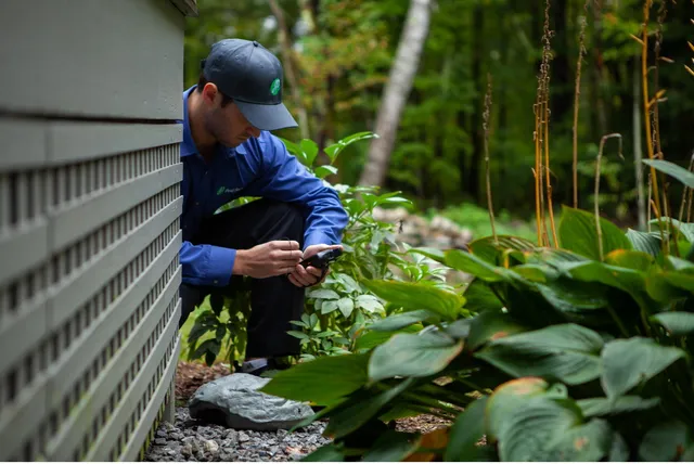 JP Pest Services work photo
