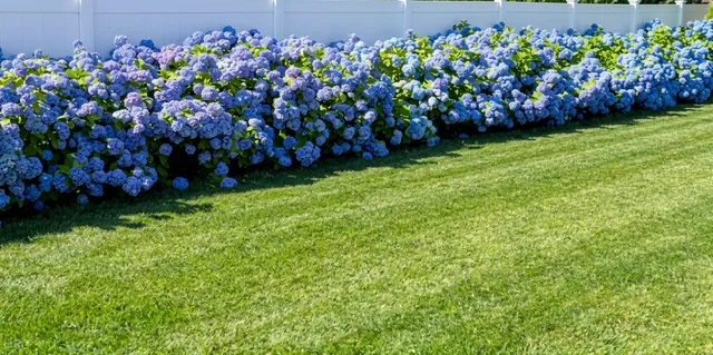 work photo from sclandscapingri.com