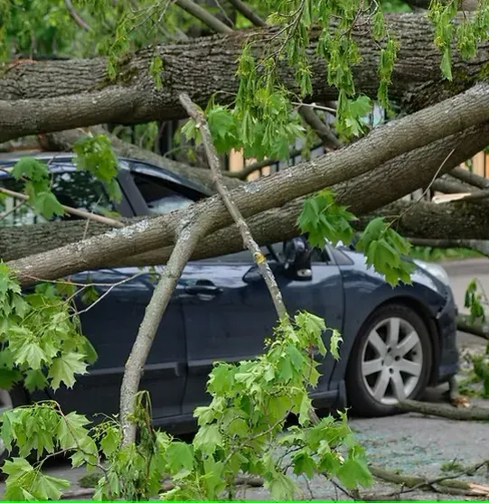 Damage