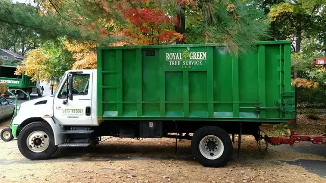 Royal Green Tree Service dump truck