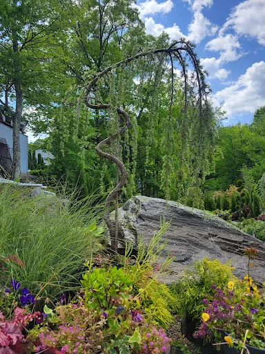 Echobrook Nursery work photo