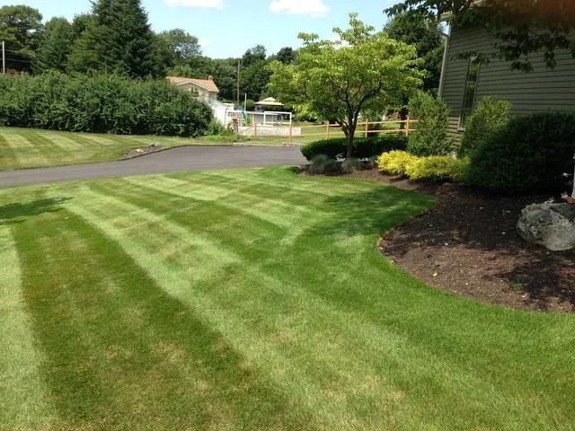 C&C Landscaping Co. work photo
