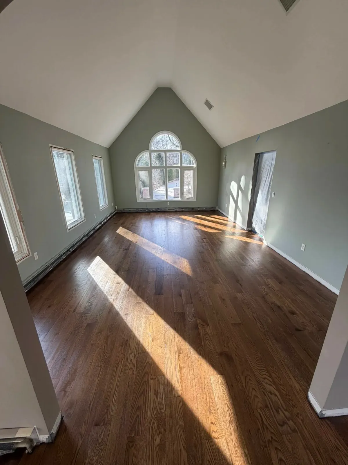 Empty room with green walls, multiple windows, wooden floor, and sunlight casting shadows.
