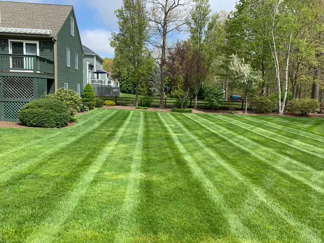 Jennev Landscaping work photo