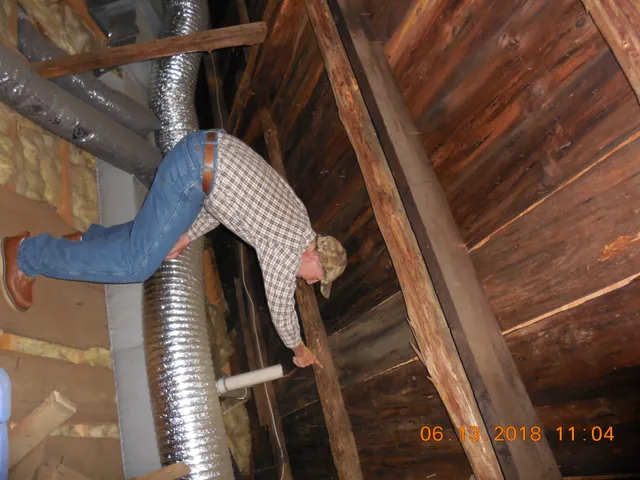 direct pest control work photo