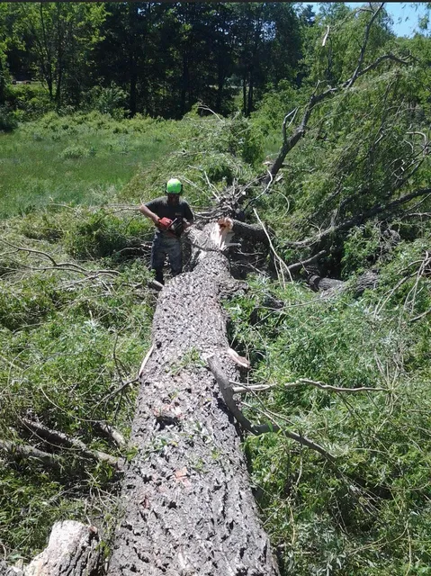 Suncook Valley Tree Services researched project photo