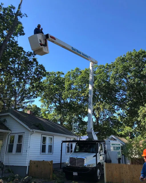 Adan Landscaping & Tree Services Inc