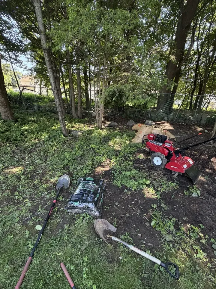 Root removal and soil cultivation in progress with landscaping tools