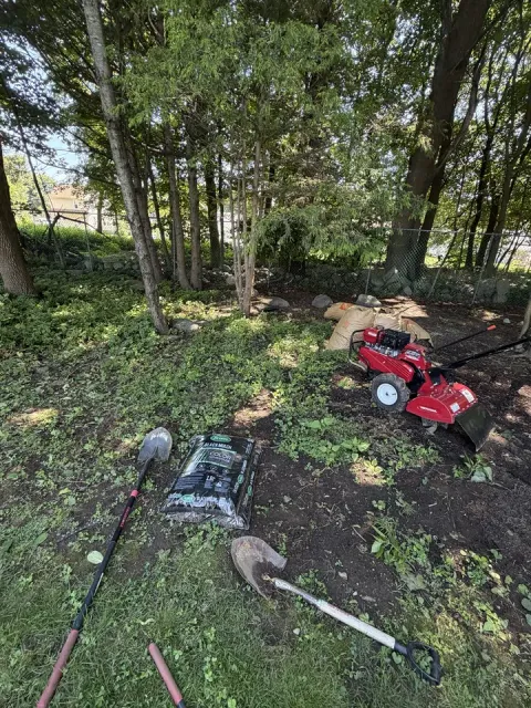 Root removal and soil cultivation in progress with landscaping tools
