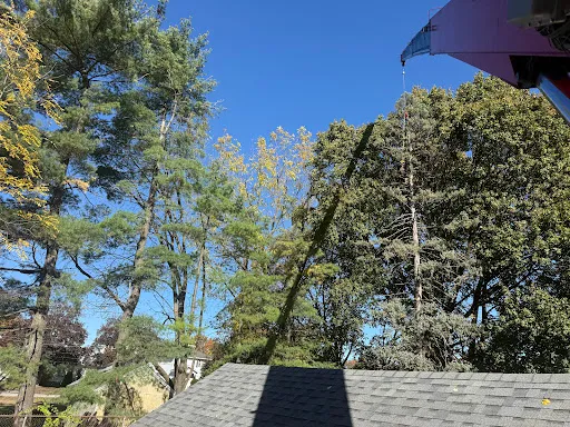 Review photo by Stash Me
