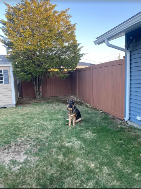A german shepherd dog is sitting in the grass in front of a house.