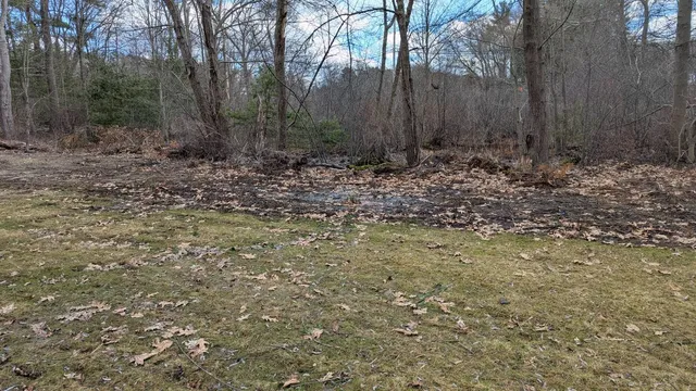 Wooded property clearing and grading work