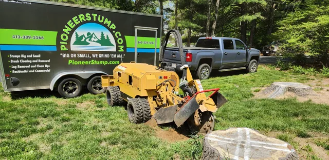 work photo from pioneerstump.com