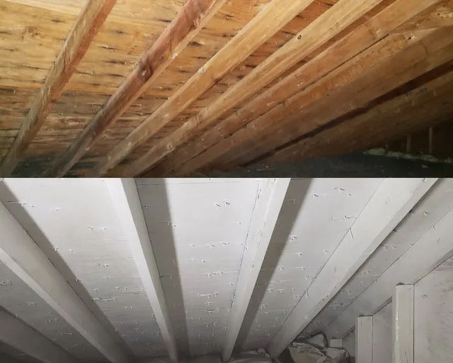 Riggen Environmental work photo