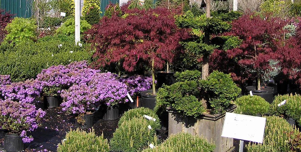 work photo from gillislandscape.com