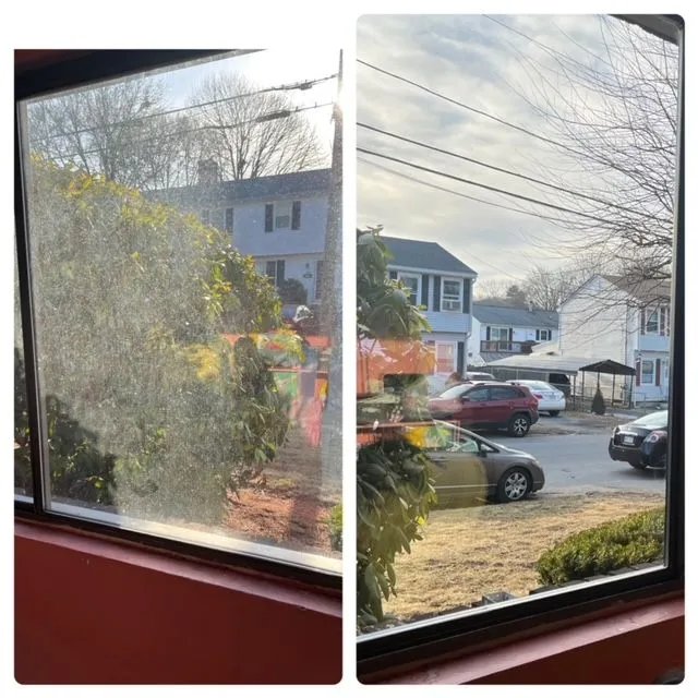 SQUEAKY CLEAN WINDOWS researched project photo