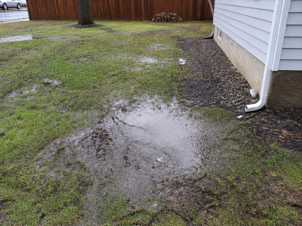 Soggy lawn with standing water beside a house