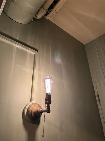Horsehair Plaster restoration