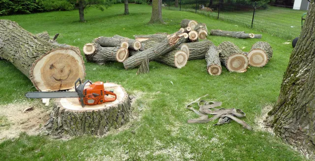 work photo from redboneturfandtree.com