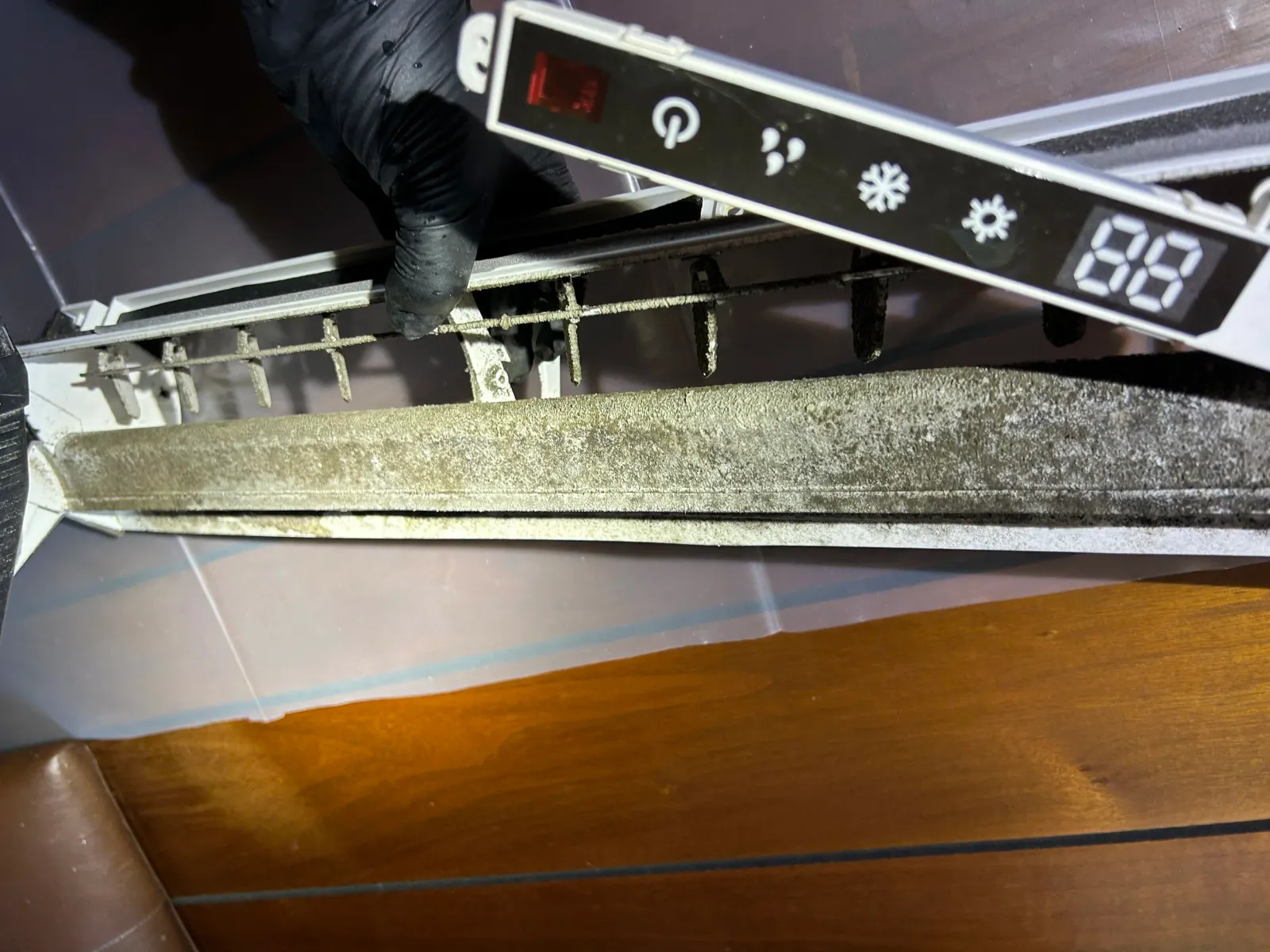 Mold Mini Split.jpg