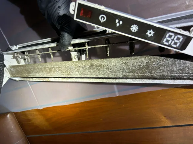 Mold Mini Split.jpg