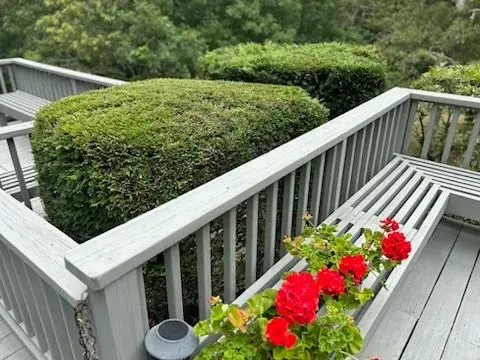Gray wooden deck with green hedges and red flowers in a planter.