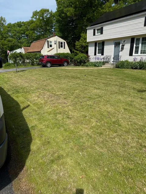 4Life Lawncare researched project photo