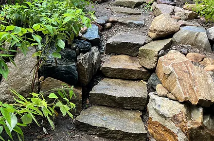 rock garden and steps