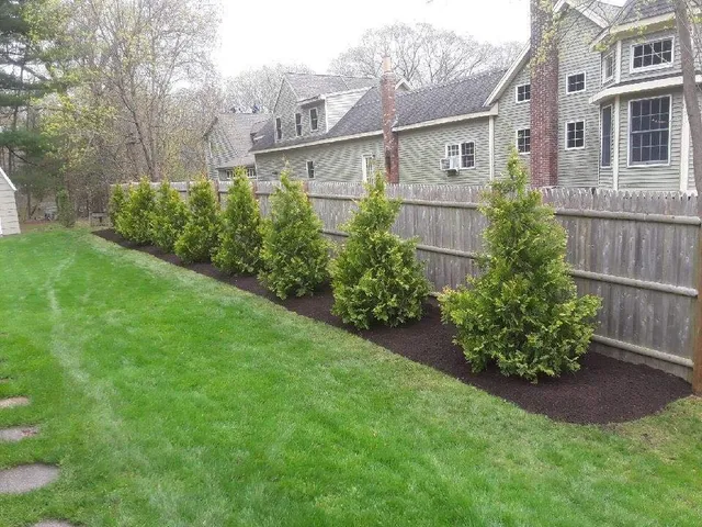 BZ Leaf Lifters LLC work photo