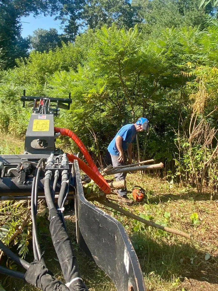 work photo from treeservicekingston.net
