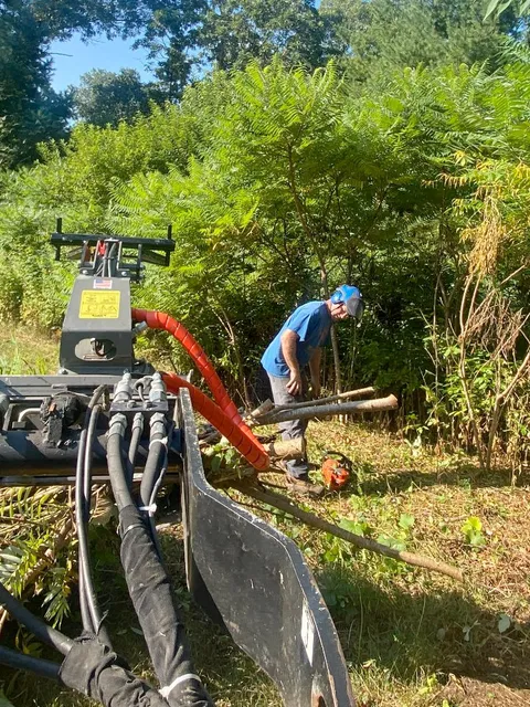 work photo from treeservicekingston.net