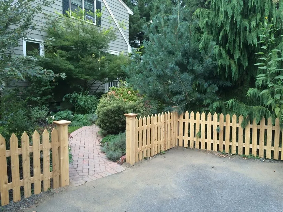 Amazing Fence